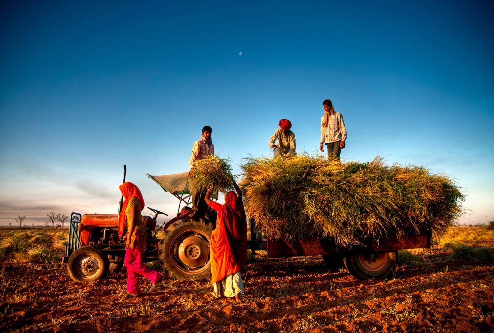 Ackerbau in Indien: Chancen für europäische Agrartechnologie